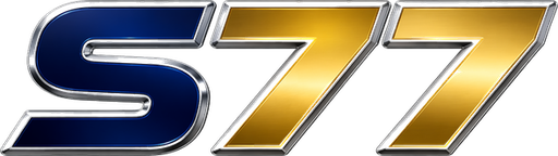bds77.net Logo